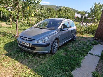 Peugeot 307 - 7