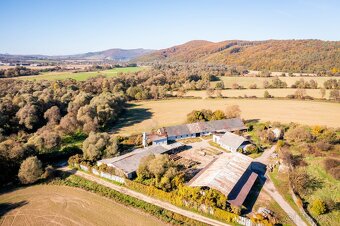 Predám areál drevovýroby v obci Skrabské (Prešov 30min. vzd) - 7