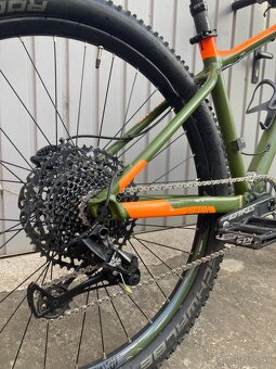 Kellys Gibon 70 - 7
