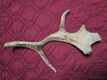 parohy parožie na výrobky rukoväť noža - 7