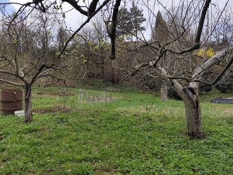 Zahradka s pivnicou - Pod Kalvariou - 7