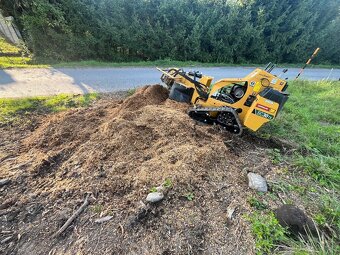 Výrub , opilovanie stromov - 7