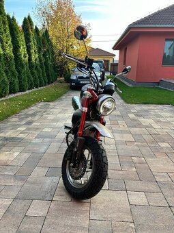 Honda monkey 125 - 7