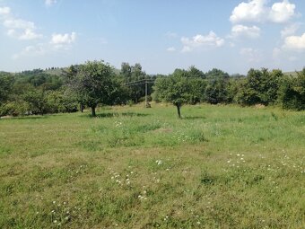 Pozemok - trvalý trávnatý porast - 7