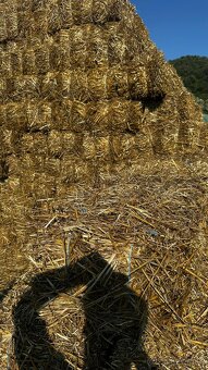 Malé balíky-Slama - 7