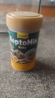 Vodné korytnačky - 7