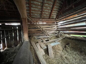 Stare drevo na predaj - 7