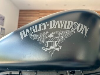 Harley-Davidson Iron 883 - 7