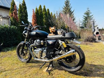 Predam Royal Enfield Interceptor 650 s kuframi - 7