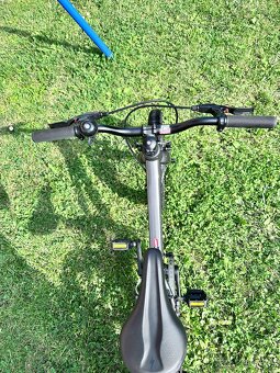 Specialized - 7