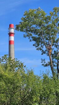 Orezávanie stromov, rizikový výrub stromov, pilčícke práce - 7