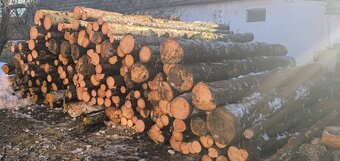 Predám palivové drevo - SMREK - 7