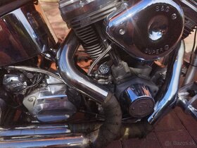Harley Davidson Titan Phoenix Custom - 7