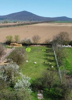 Rodinný dom po rekonštrukcii v obci Vilmány - Maďarsko, poze - 7