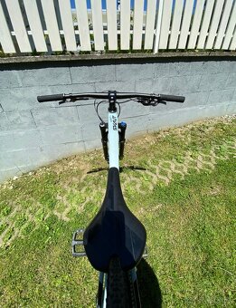 CTM skaut - 7