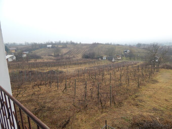 Na predaj viničný domček s vinicami a pivnicou v Strekove. - 7