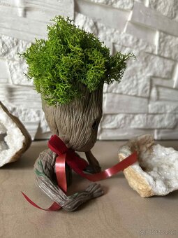 Groot so stabilizovaným machom - 7