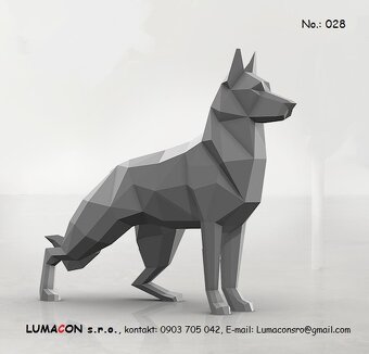 Doberman - 7