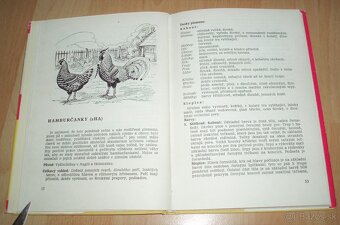 Plemená drubeže – Príručka pro chovatele drubeže, časť III - 7