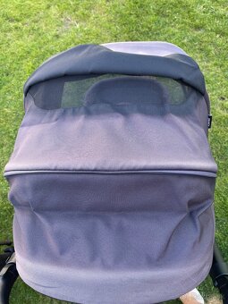 Kociar EASYWALKER Jimmey - Pepper Black - 7