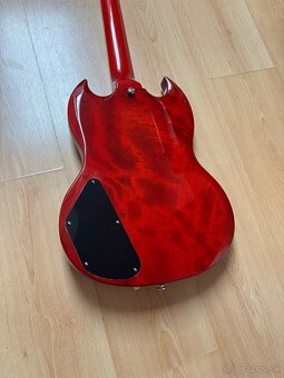 Sg agnus young - 7