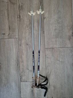 Lyže a lyžiarky - 7