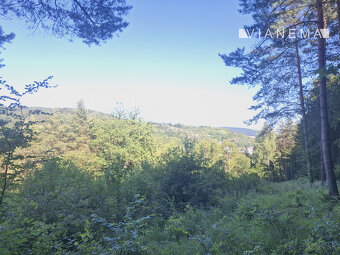 IBA U NÁS Pozemok 1,8 ha na okraji Púchova, Vieska-Bezdedov - 7