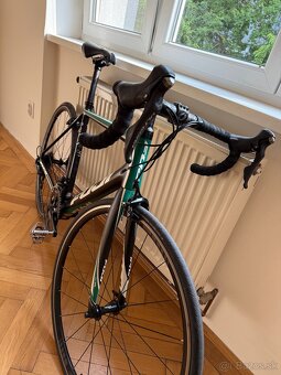 Fuji SL Carbon - 7