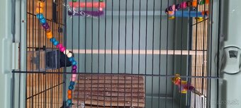 Klietka pre vtáčiky XXL - 7