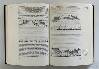 RYBÁRSTVO / RYBÁRENIE - 7