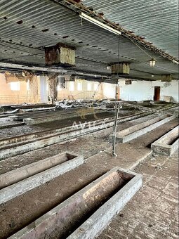 Predaj | Hospodárske budovy v areáli družstva | Hrádok - 7