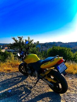 Predam Honda CB600F Hornet - 7