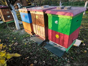 Včelstvo, včely, kompletné príslušenstvo včelára - 7
