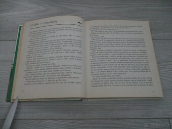 Z poľovníckej kapsy - 7