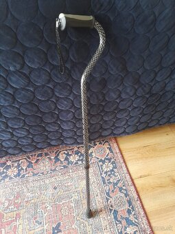 Vychadzkova palica - 7