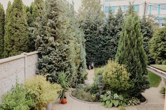 Predaj domu v centre Košíc - 7