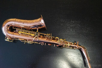 Alt saxofón Buffet Crampon Senzo - 7