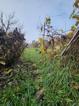 VÝBORNÁ PONUKA-rod.dom Nitra-Čermáň na 7,35á pozemku - 7
