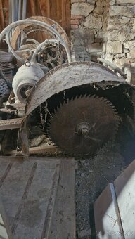 Gater srotak vivea - 7