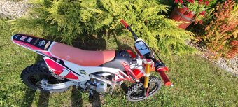 Pitbike WPB Race 140 - 7