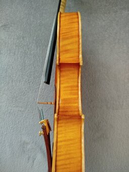 Viola - 7