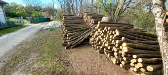 Predam agatove koly stlpy zrde - 7