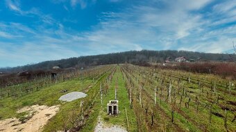 Rekreačná chata s vinohradom 608 m2, Jelenec, Nitra - 7