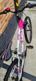 Bucykel Vedora 24" alu - 7