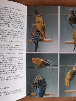 Jules Verne a iné - 7