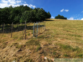 Na predaj slnečný pozemok 5854 m² – Župkov, tichá lokalita - 7