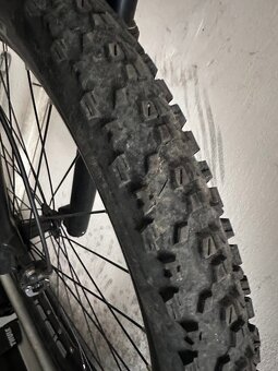 Ptredam e-bike Crussis - 7