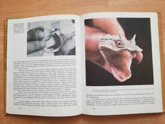 Moji priatelia hady 1985 - 7