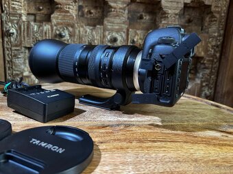 Canon EOS 5D Mark IV + Tamron for Canon SP 150-600 mm F/5-6. - 7