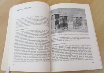 Kočovanie so včelstvami - 7